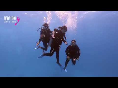 A normal diving day in Cozumel, Mexico