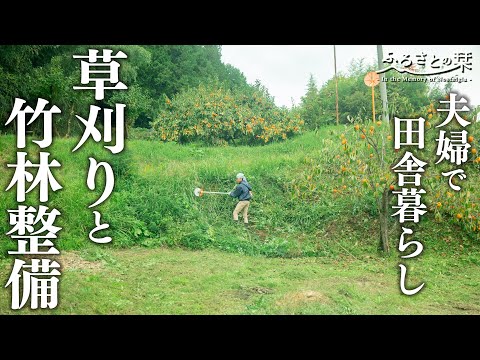 庭のコーヒーかす: 避けるべき間違いは何ですか?  庭園