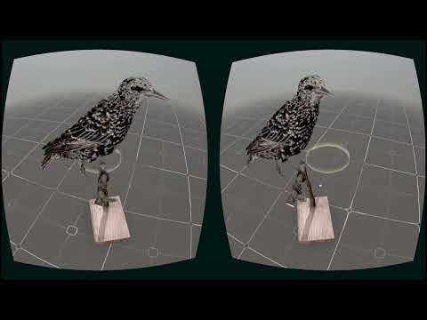 Trailer | Nearest Neighbor | Rebecca Baron & Douglas Goodwin