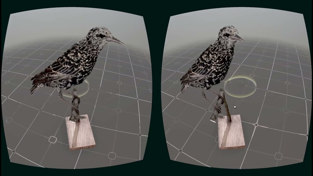 Trailer | Nearest Neighbor | Rebecca Baron & Douglas Goodwin