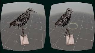 Trailer | Nearest Neighbor | Rebecca Baron & Douglas Goodwin