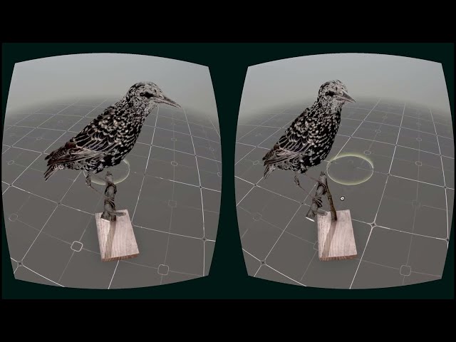 Trailer | Nearest Neighbor | Rebecca Baron & Douglas Goodwin