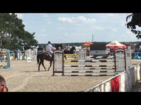 Calicor 120cm - Olsza 2016