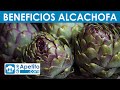 8 Propiedades Y Beneficios De La Alcachofa QueApetito