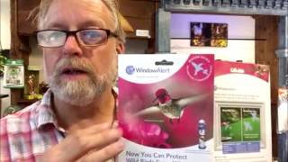 How to Prevent Bird-Window Collisions with Window Decals