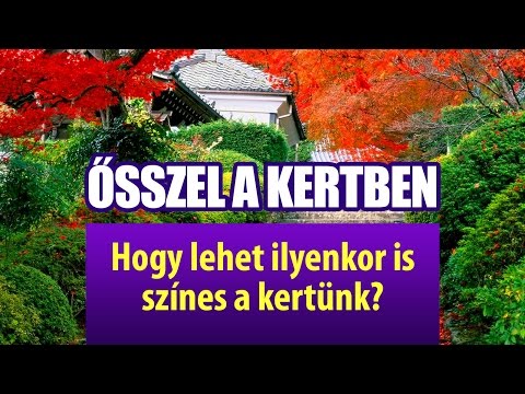 Ősszel a kertben - hogyan lehet ilyenkor is színes a kertünk?