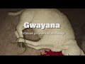 Levi Mberego Gwayana