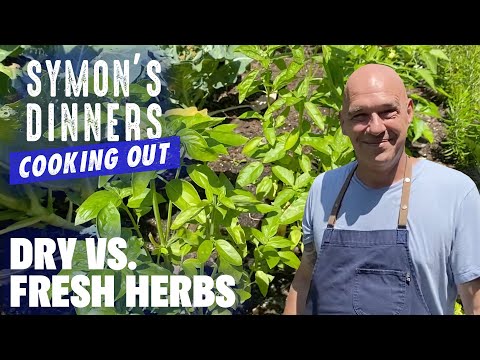 When to Use Dry Herbs vs. Fresh Herbs w/ Michael Symon | Symon's Dinners Cooking Out | Food Network