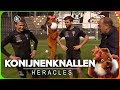 Volle bak knallen! | Konijnenknallen Heracles: Robin Pröpper & Lucas Schoofs | Zappsport