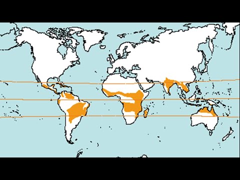 ¿Qué es el CLIMA TROPICAL?