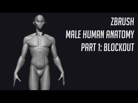 ZBrush - Human Anatomy: Male  #1 Blockout