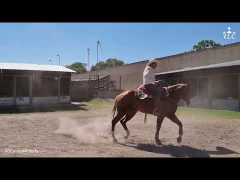 EL CAMINO AL FUTURITY: Capítulo 17 (Parte 3 de 3)