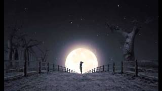 ATB Feat. Sean Ryan - All I Need Is You 720HD