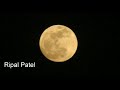 Whatsapp Status Kaho Punam Na Chand Ne Patel 39 Ripalpatel