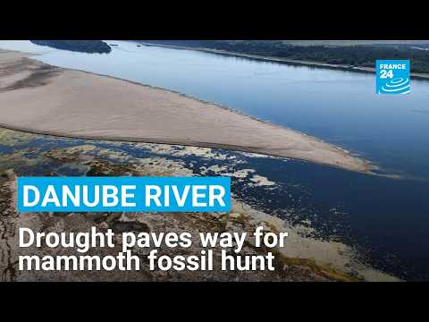 Drought-hit Danube gives way to mammoth fossil hunt in Bulgaria