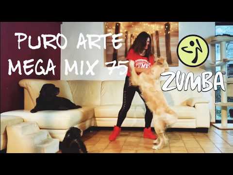 🐶 PURO ARTE 🐶 Mega Mix 75 🎊 Zumba®️Fitness Choreo by Inka BRAMMER