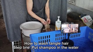 lovebeautywig | how to comb tangle hair extensions#humanhairextensions