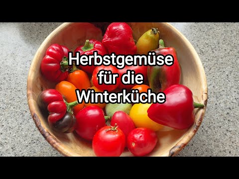 🍅🫑Herbstgemüse sicher und lecker verarbeiten🍂für Gulaschsuppe und Eintopf🥫Gemüse einkochen 🍅