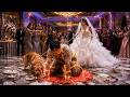 Lad Was Humiliat Like Dog At Wedding Wife Cheated But Then Regain God Power Sexy Heiress Chase Marry