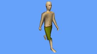 GLSLによる歩く成人男性のデモ