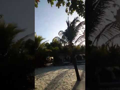 Praia do Preá,  Rancho do Peixe, Cruz, Ceará.  Novembro, 2025.