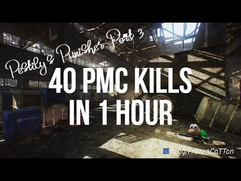 Pestily's Punisher Part 3 Tournament Qualification "Tutorial" 40 PMC Kills on Factory in 1 Hour