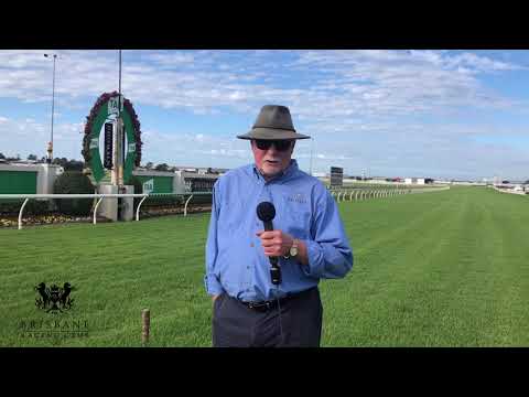 Track Update - Doomben 10,000 Day