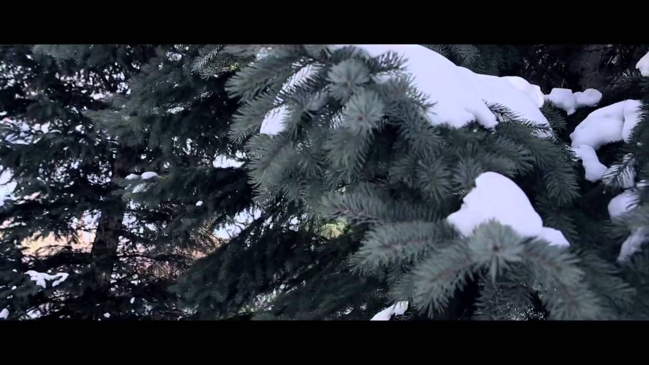 Zion I x Locksmith – “Culture Freedom”