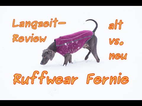 Langzeit-Review: Ruffwear Fernie Hunde-Pullover nach 6 Jahren Nutzung am Weimaraner