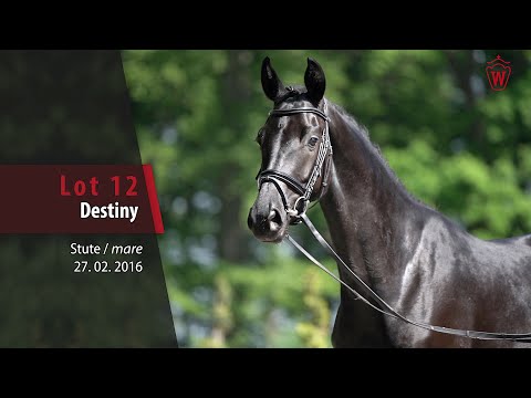 12 Destiny Stute v. Danciano - Abendtanz/T.