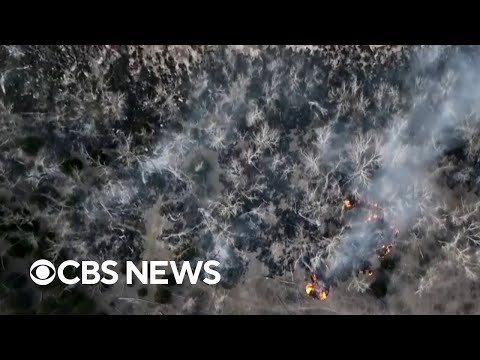 Largest wildfire in Texas history burns 1.1 million acres
