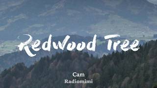 Cam - Redwood Tree  (Lyrics)
