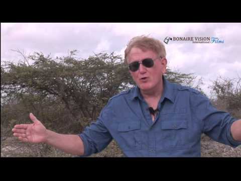 George Buckley, Land Snails