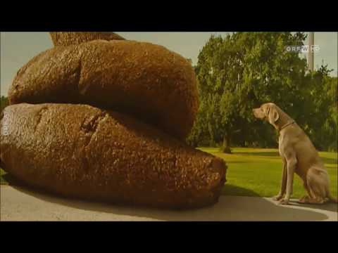 30 Jahre Bundesland heute in 30 Tagen: 22.4.2018