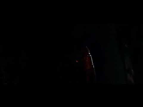 In Order Of Disappearance