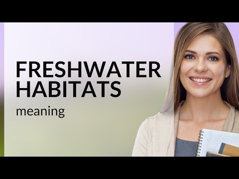 Exploring Freshwater Habitats: A Dive into Nature's Aquatic Worlds