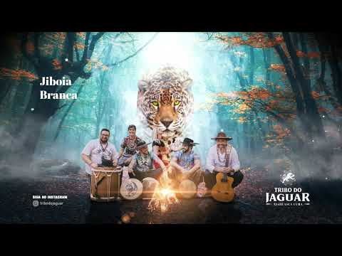 Tribo do Jaguar - Jiboia Branca