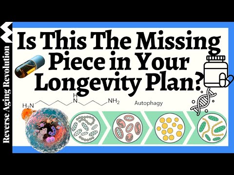 The Anti-Aging Compound You're Probably Deficient In