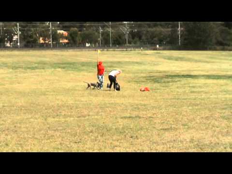 Lure racing 18 09 10 22