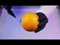 ASMR Fresh Sunkist Orange Ice Cream Rolls How To Make Ice Cream With Orange Satisfying Food