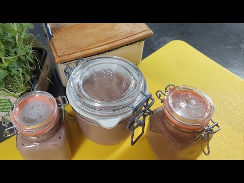 Hühnerleberpastete, Hühnerleberparfait oder Hühnerlebermousse eine herzhafte kalte Vorspeise. # 175