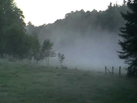 Die Lüneburger Heide bei Soderstorf 5