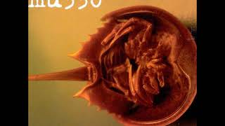 13 •  MU330 - Ireland  (Demo Length Version)