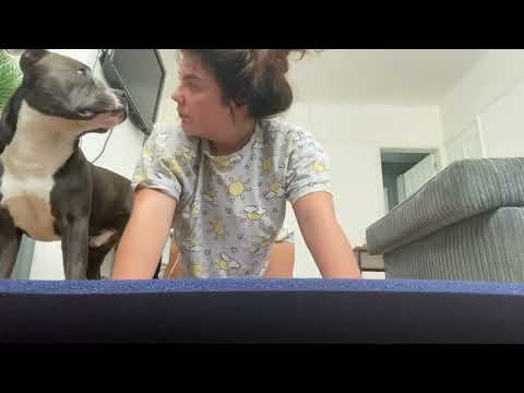 Artofzoo Videos