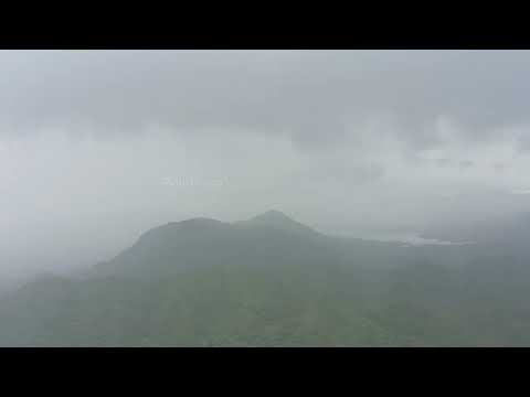 Palitana Kadambari 4k video best nature video