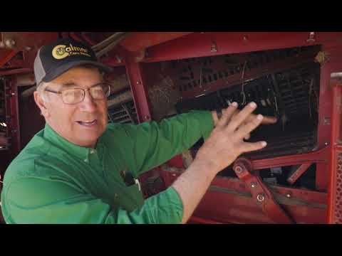 Setting Case IH Combine Transport Vanes for an Efficient Soybean Harvest