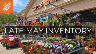 NEW Plants at Home Depot Garden Center | May 2026