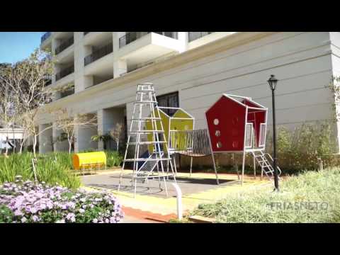 Lindemberg Timboril - Cód 34191