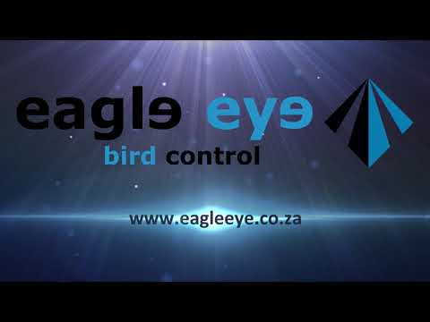 Eagle Eye Product and Placement Guide 2021