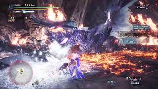 ［MHWI]明けの死星周回　TA　5分台目指して